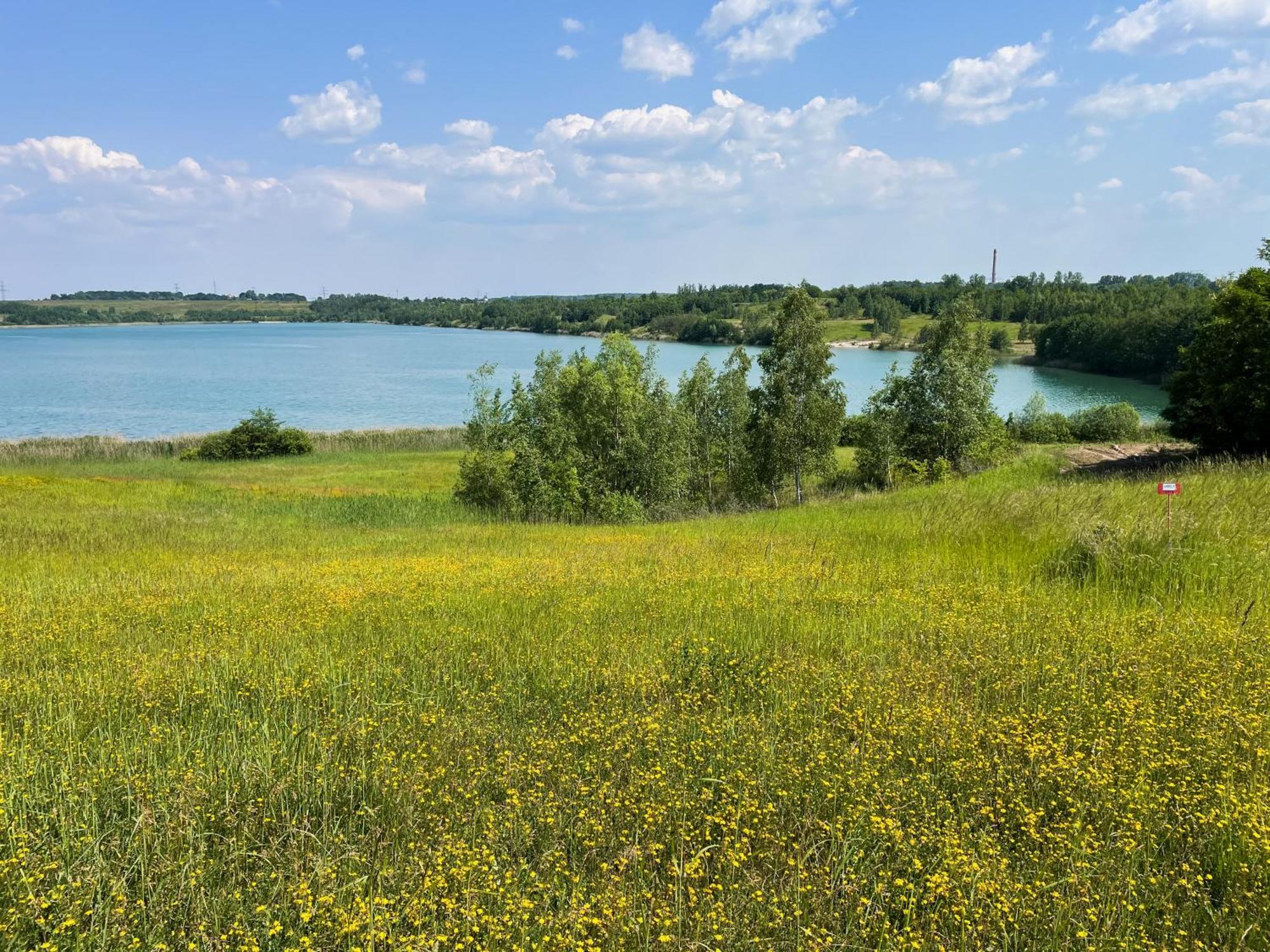 Haus Im Schilf 2 - Ferienwohnungen Am Hainer See Bei Leipzig Neukieritzsch Extérieur photo