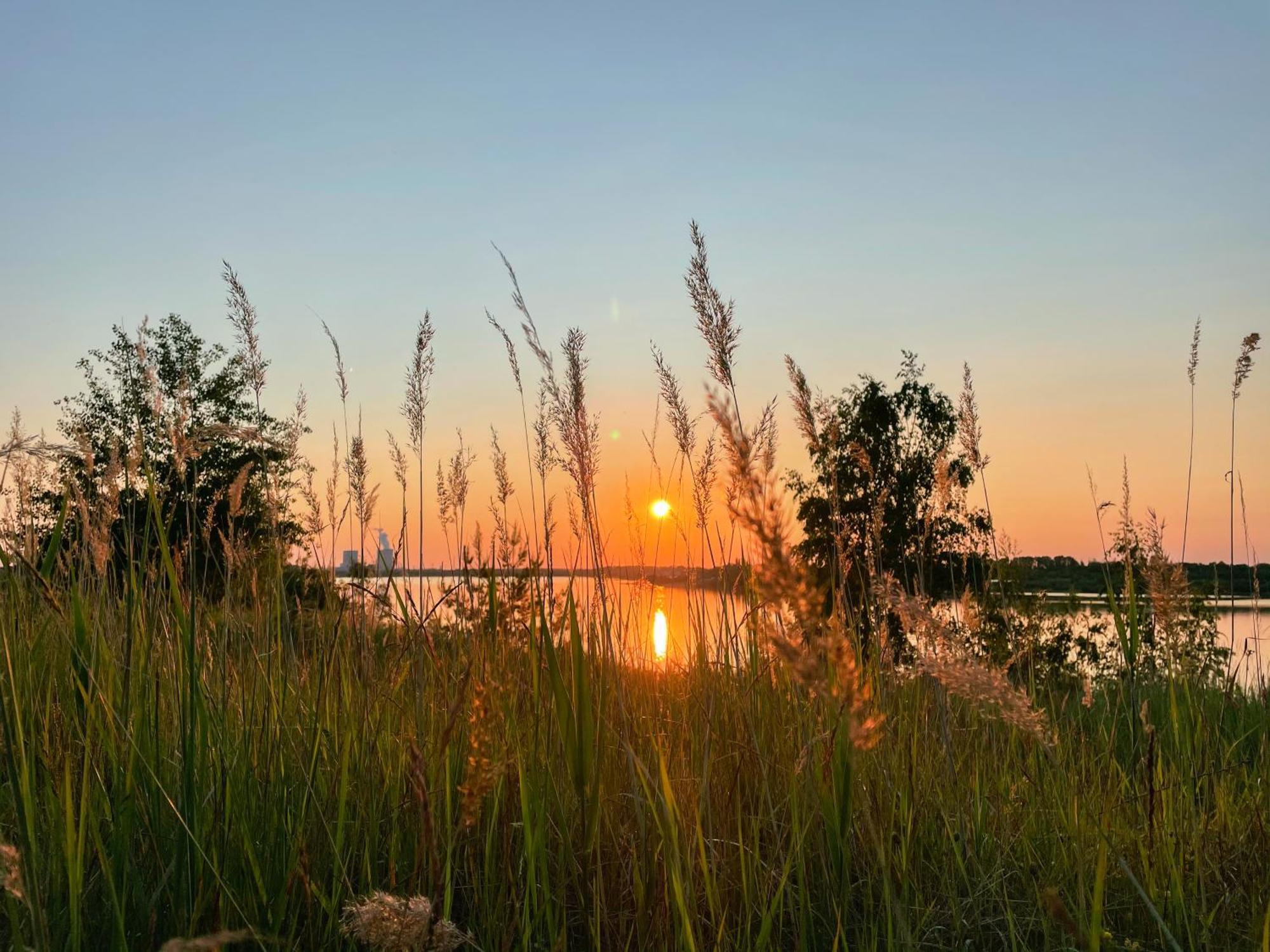 Haus Im Schilf 2 - Ferienwohnungen Am Hainer See Bei Leipzig Neukieritzsch Extérieur photo